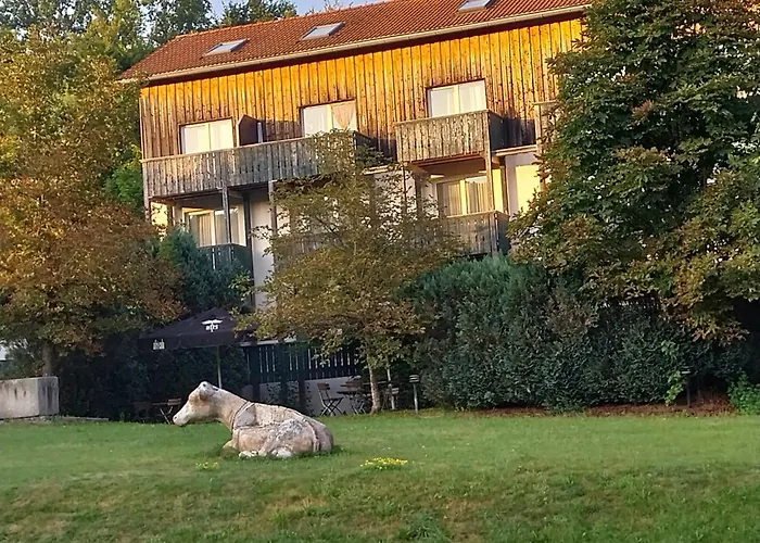 Privat-Zimmer in Hotel am Pfahl Viechtach
