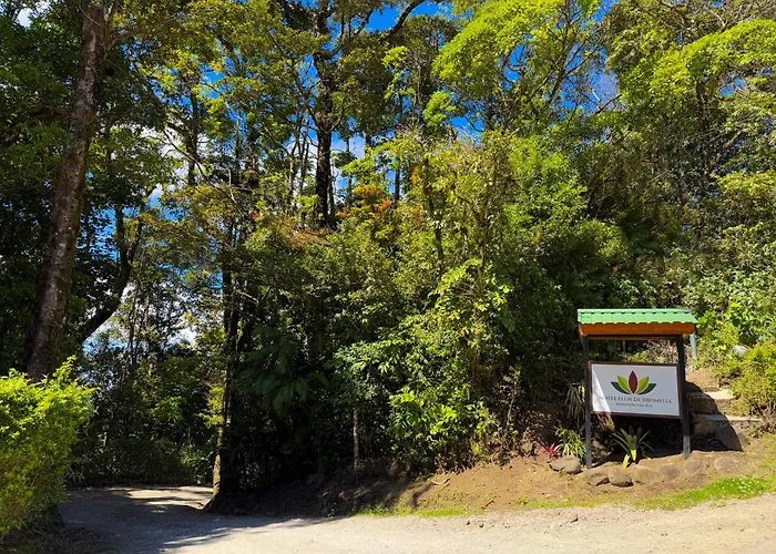 Hotel Flor De Bromelia Monteverde
