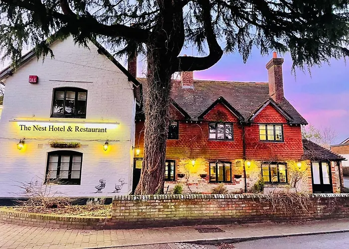 The Nest Hotel & Restaurant Petersfield