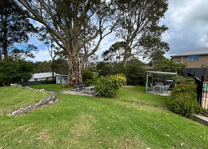 The Tree Motel Narooma