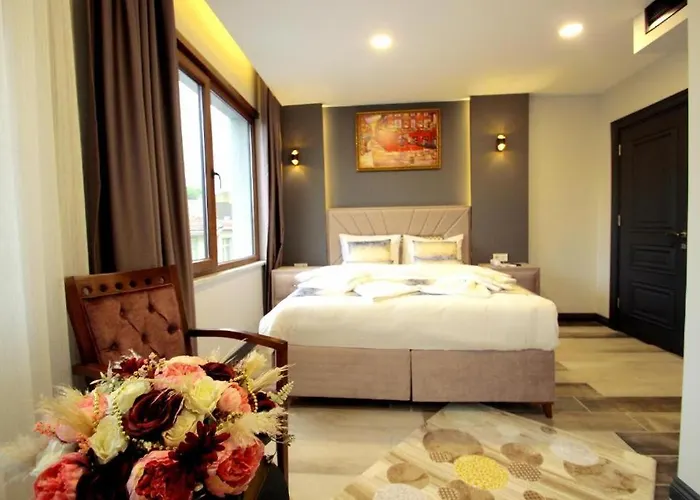 Guler Palas Hotel Vefa İstanbul
