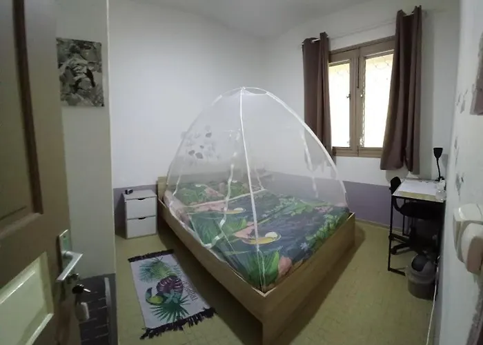Chez Marino Et Charlie Chambre D'Hotes Chez L'Habitant Pour 2 A Petit Prix Le Lamentin
