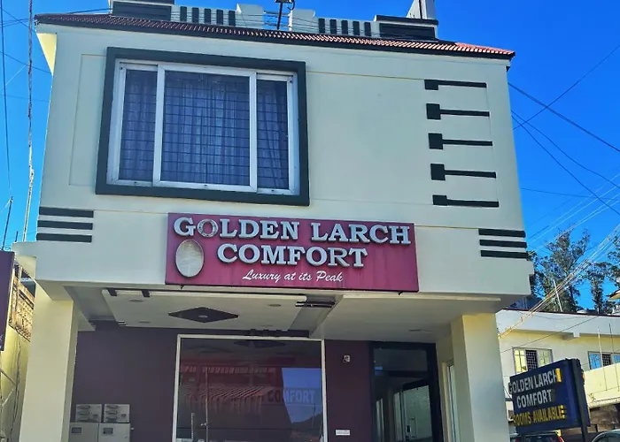 Golden Larch Comfort Ooty