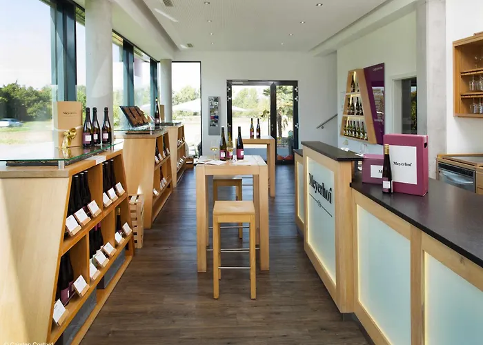 Meyerhof - Weingut, Vinothek&Gästehaus Flonheim