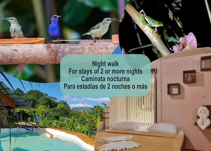 Cabanas Del Rio La Fortuna
