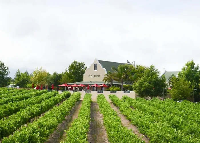 Skilpadvlei Wine Farm Stellenbosch