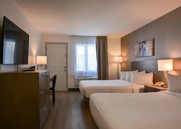 Repotel Levis