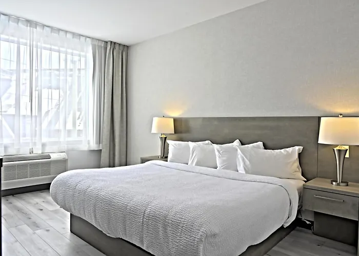 Repotel Levis