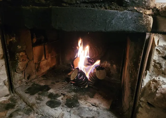 Ecolodges En Provence Saint-Maximin