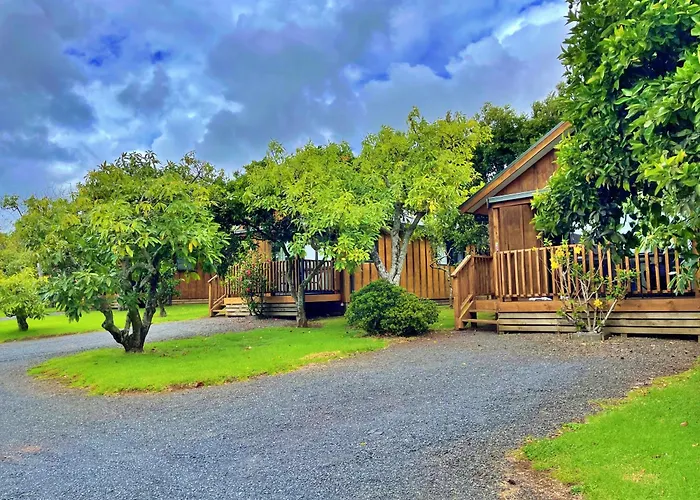 Kerigold Secluded Chalets Motel Kerikeri