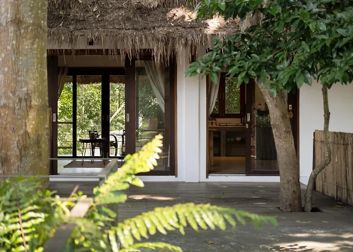Big Tree Boutique Hotel Ko Tao