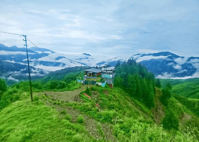 Pinaceae Resort Chakrata