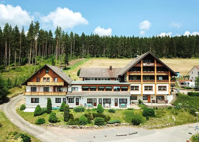 Waldhotel Auerhahn Eisenbach 