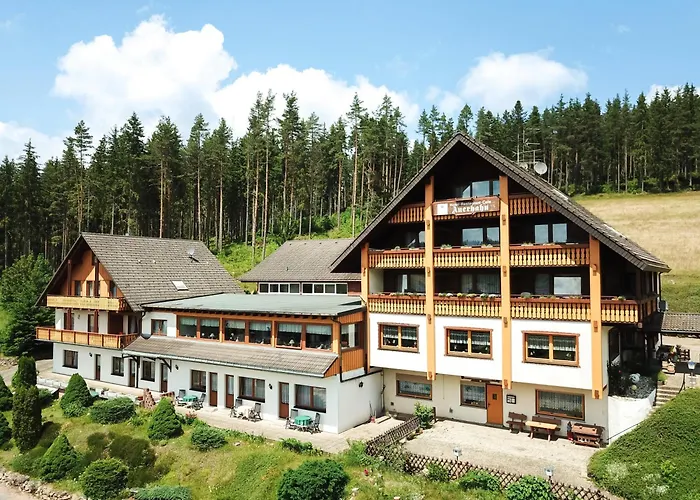 Waldhotel Auerhahn Eisenbach 