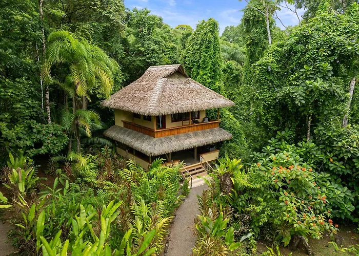 Copa De Arbol Beach & Rainforest Resort Drake Bay