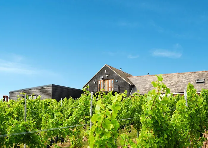 Mersea Island Vineyard East Mersea