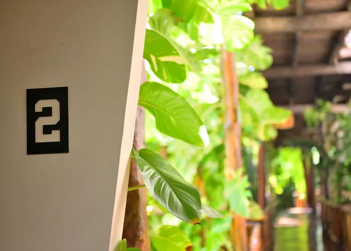 Casa Teka - Boutique Hotel & Cenote Tulum