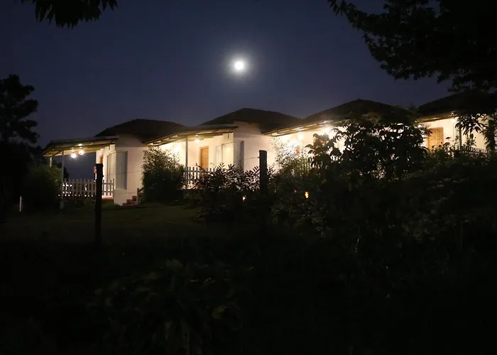 Tranqville Resorts Ooty
