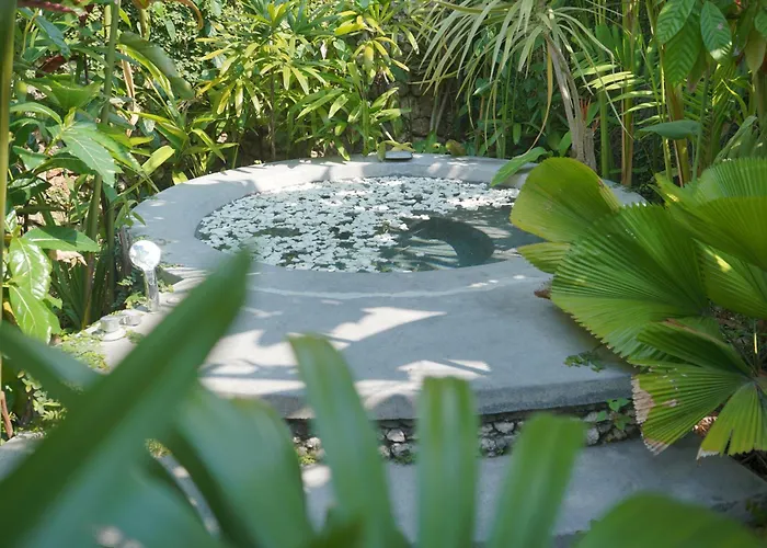Liv Canggu - An Urban Sanctuary