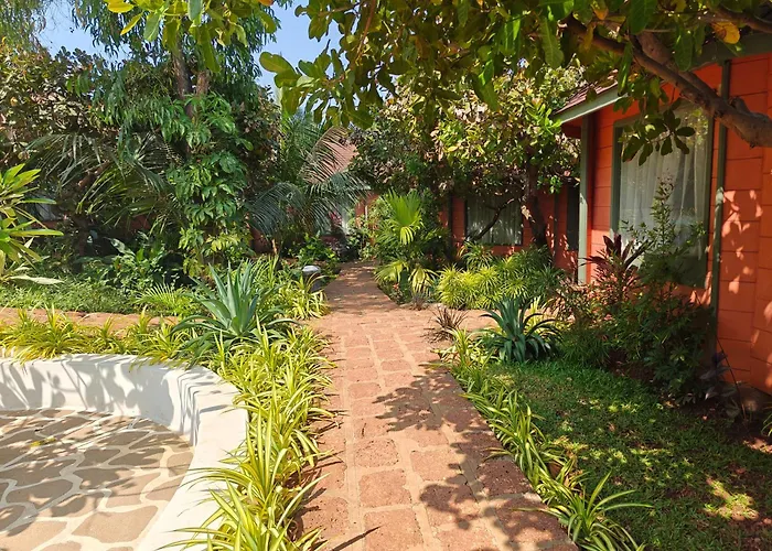 Habitus Resort Mandrem