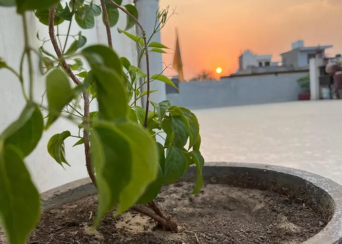 Hotel Ciudad Rosa Jaipur