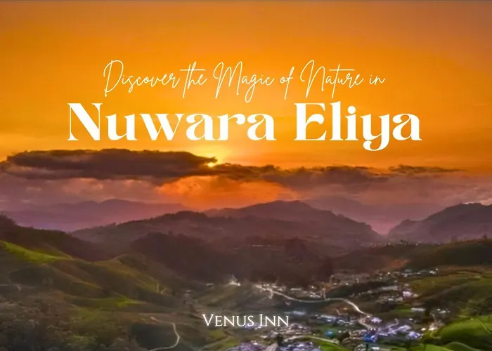 Venus Inn Nuwara Eliya