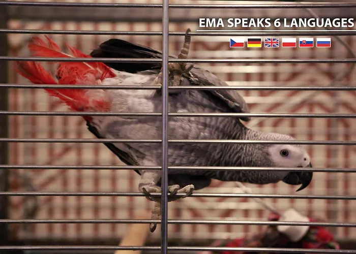 Wellness Hotel Extol Inn - Czech Leading Hotels