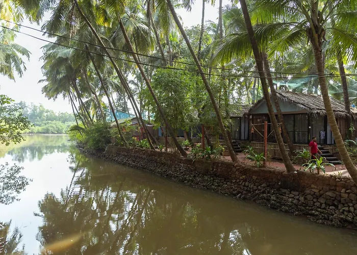 Palm Trees Ayurvedic Heritage Patnem Beach