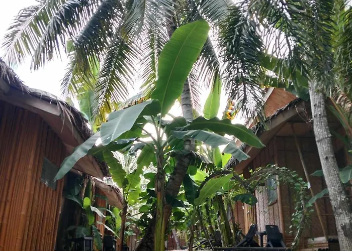 Ecostay Panglao Resort Hotel