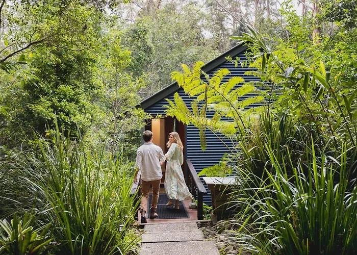 Kondalilla Eco Resort Montville