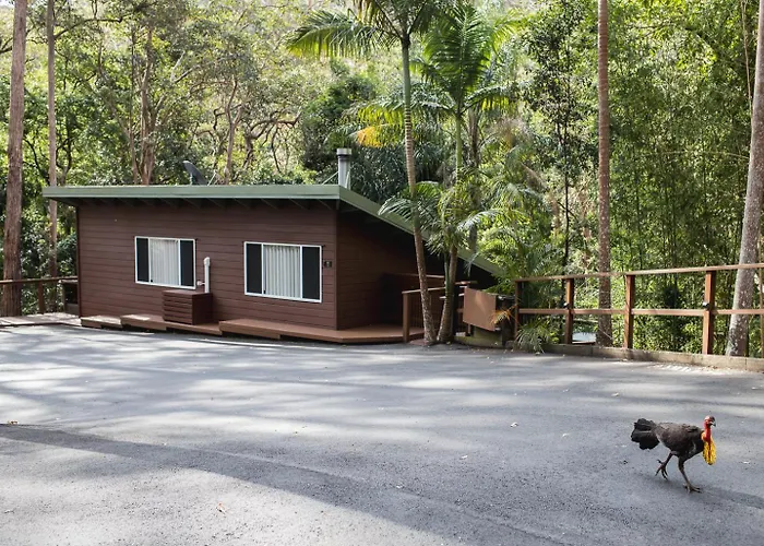 Kondalilla Eco Resort Montville