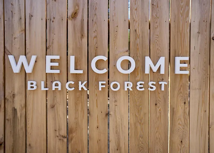 Black Forest Cabins Mahone Bay