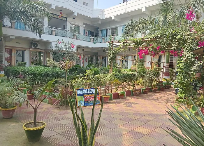 Mohana Resorts Digha 