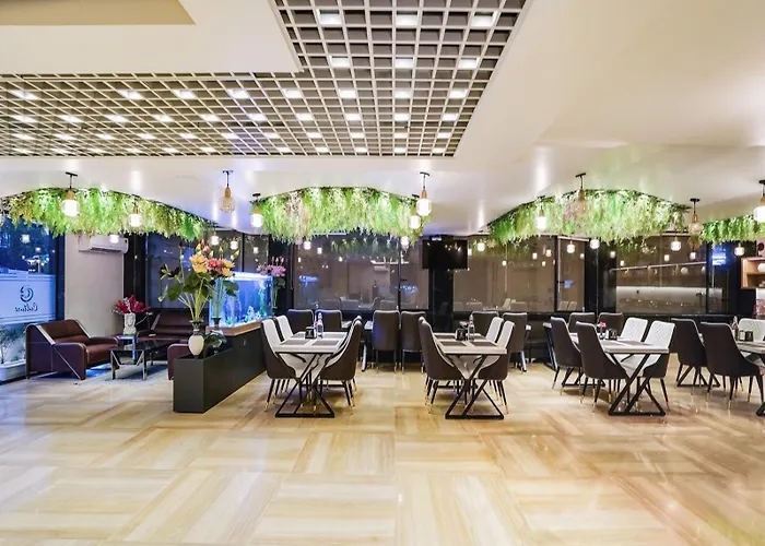 Hotel Grand Sun Plaza Embassy And Airport Drop New Delhi