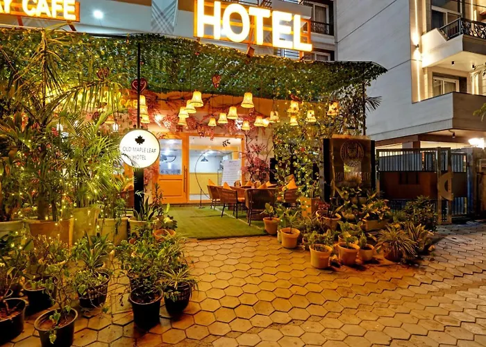 Hotel Grand Sun Plaza Embassy And Airport Drop New Delhi