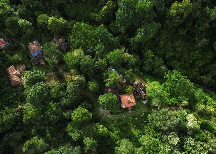 Mahout Resort Wayanad - An Experiential Jungle Stay With Waterfall Kalpetta