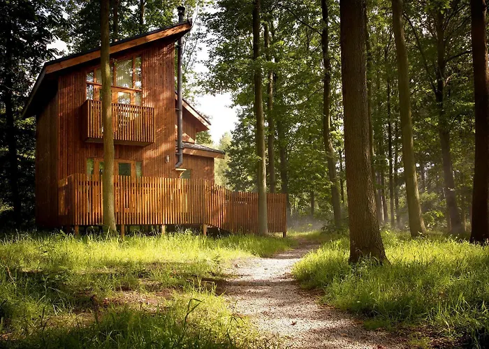Sherwood Forest Cabins - Forest Holidays Edwinstowe