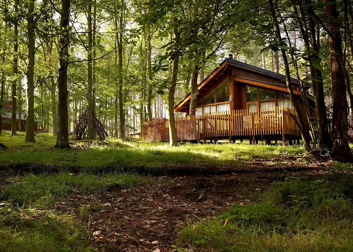 Sherwood Forest Cabins - Forest Holidays Edwinstowe