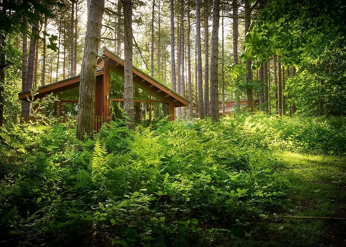 Sherwood Forest Cabins - Forest Holidays Edwinstowe