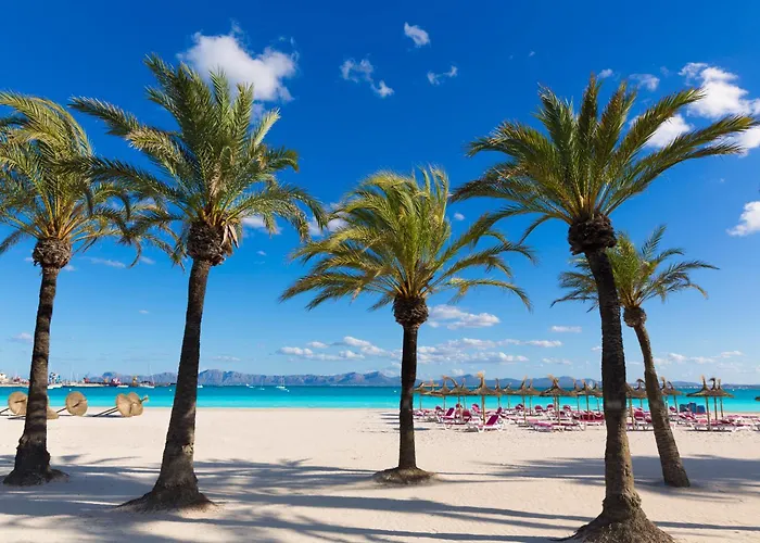 Alcudia Garden Aparthotel Port de Alcudia 