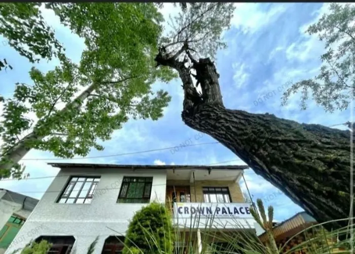 Hotel Crown Palace Srinagar 
