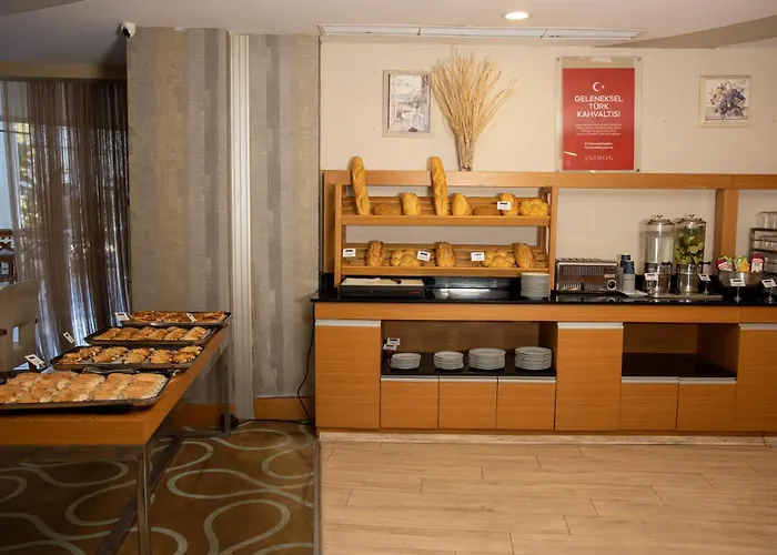 Anemon Adana Hotel
