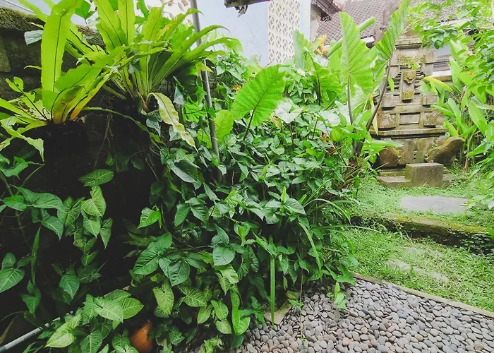 Aura Guesthouse Ubud 