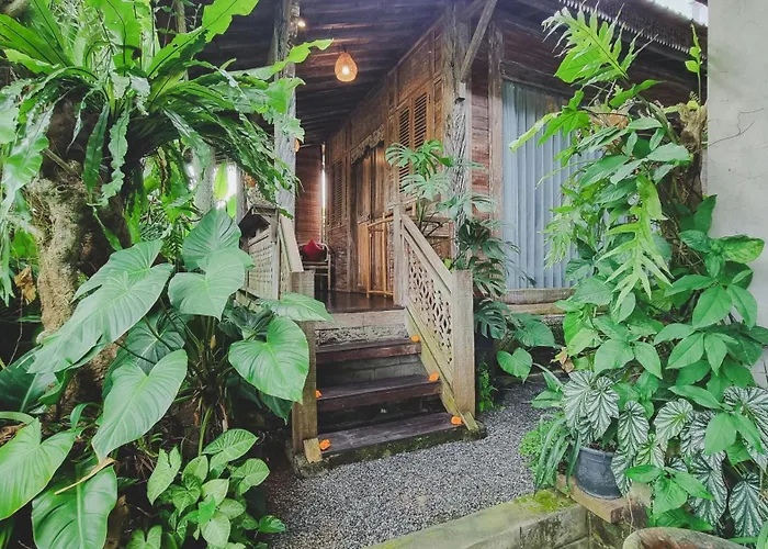 Aura Guesthouse Ubud 