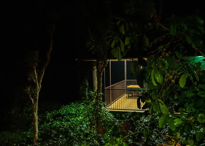 Hill Valley Farm House Nelliyampathy