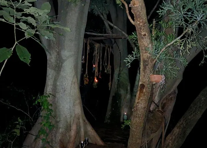 Klein Eden Forest Rustenburg