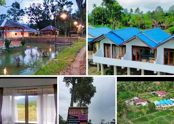 Sawah Resto Bungalow & Jungle Trekking Bukit Lawang
