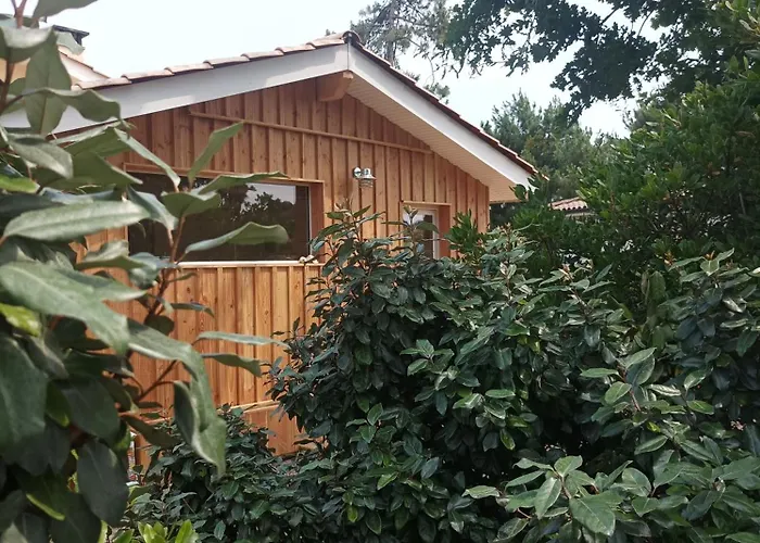 Bed and Breakfast Les Bambous à Montalivet-les-Bains