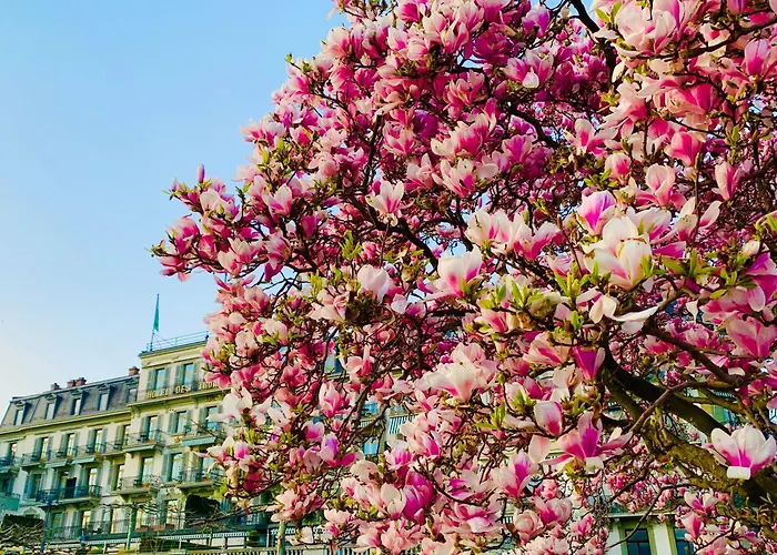 Hotel Des Trois Couronnes & Spa - The Leading Hotels Of The World Vevey