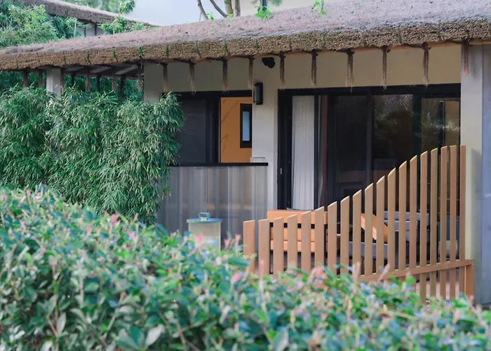 Amber Pure Hill Hotels & Resorts Jeju
